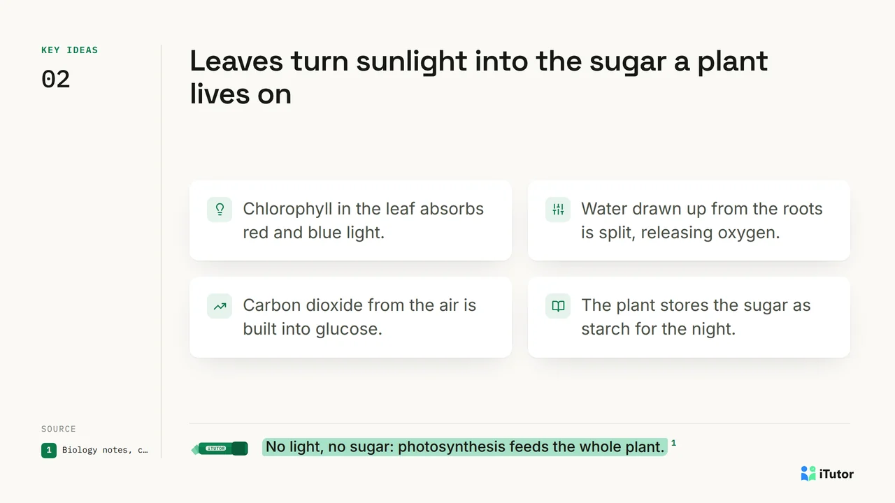 A slide in the Marked Page style: light paper, four key ideas in cards, and the takeaway highlighted in green.
