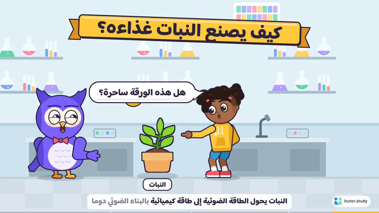 متحرك: رسوم كرتونية: شخصيات تمثّل الدرس بفقاعات كلام، وكشف كبير، واختبار في النهاية.