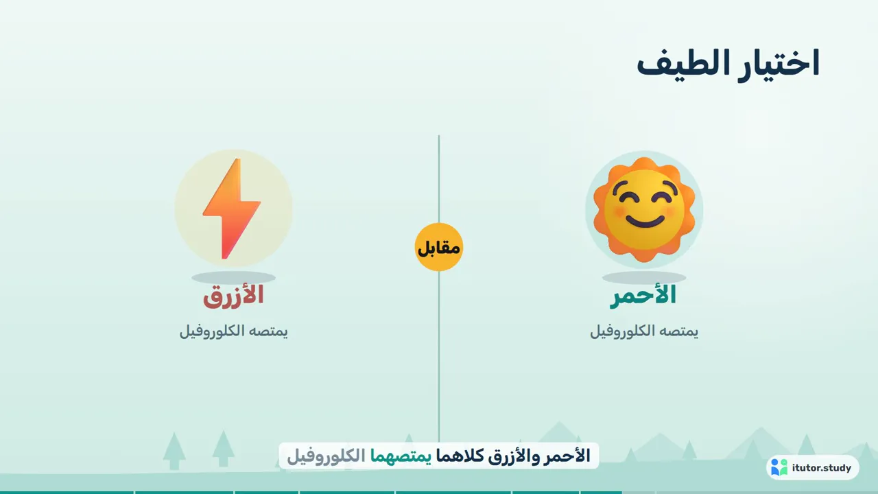 شرح توضيحي: عالم مرسوم تتجول فيه الكاميرا، وتُمثَّل فيه الأفكار بأشياء مرسومة. مناسب لمعظم الدروس.