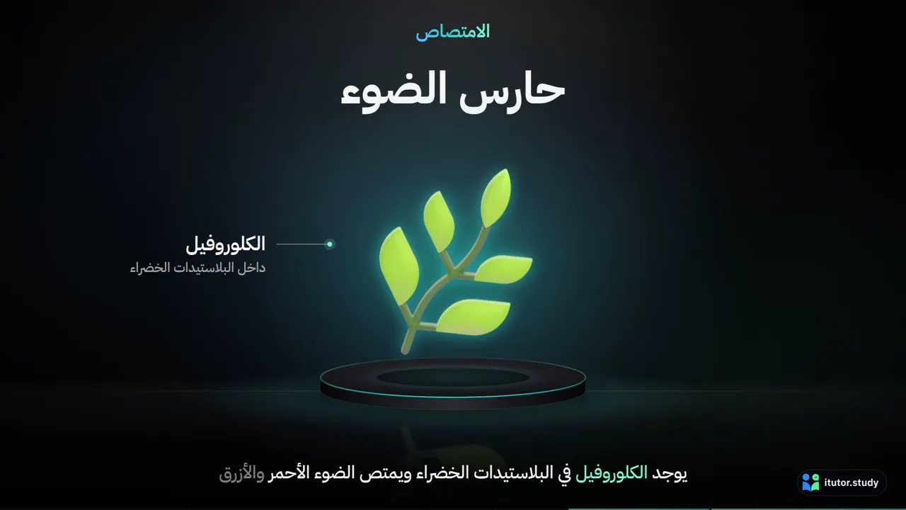 عرض إطلاق فاخر: منصة بفكرة كبيرة واحدة في كل مرة، وبطاقات زجاجية وأرقام ضخمة.