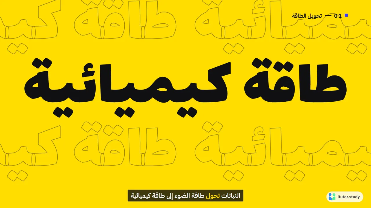 حركي جريء: كلمات كبيرة تظهر مع الإيقاع على خلفيات ملونة زاهية. ممتاز للتعريفات والمصطلحات.